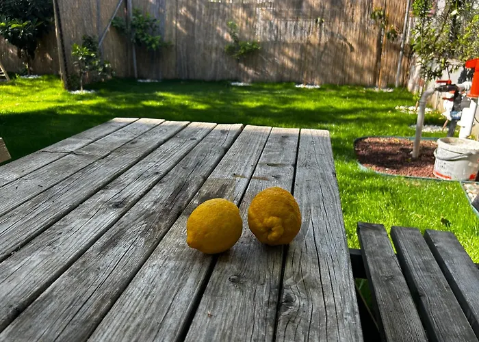 公寓 Seda's House & *