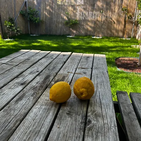 Lägenhet Seda's House & *